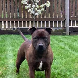 Meet your Posher, Joyce